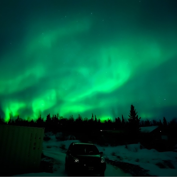 Meet your Posher, Cody - Picture 1 of 1